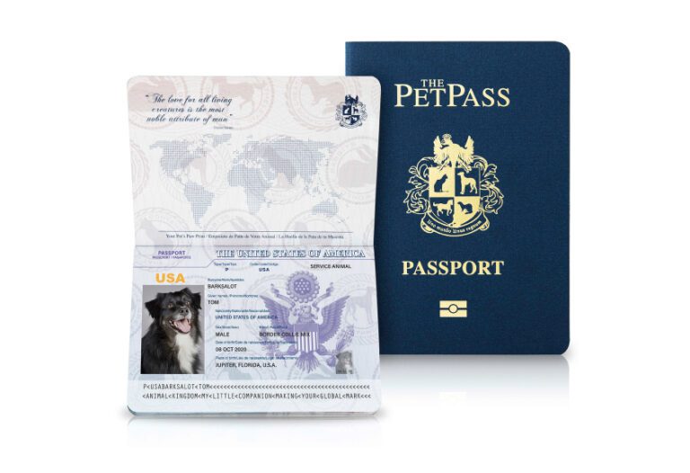 The Pet Pass Traveling With Your Pet Just Got Easier.